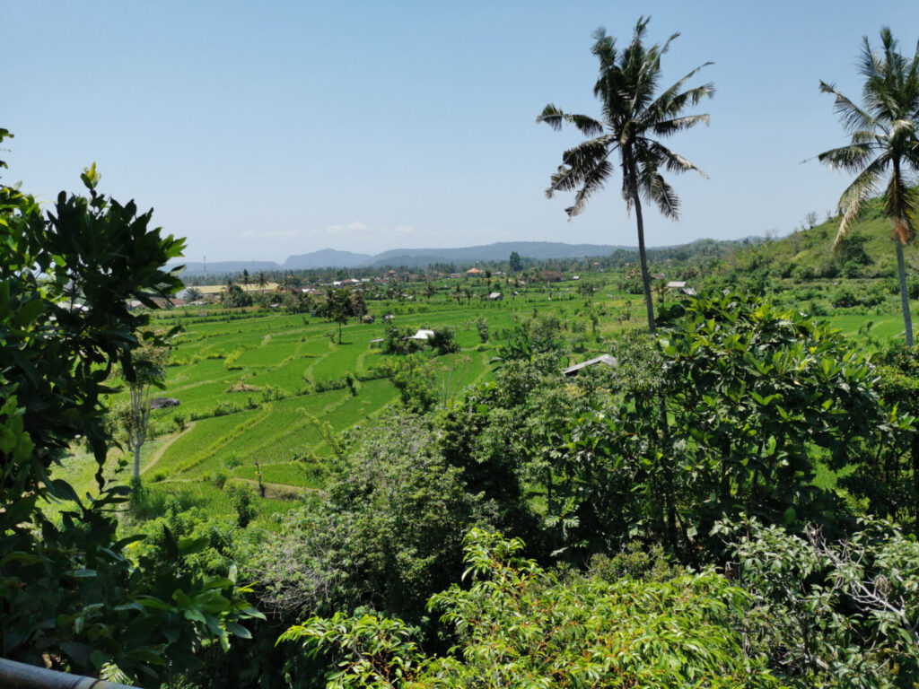 Weiterreise nach Sanur