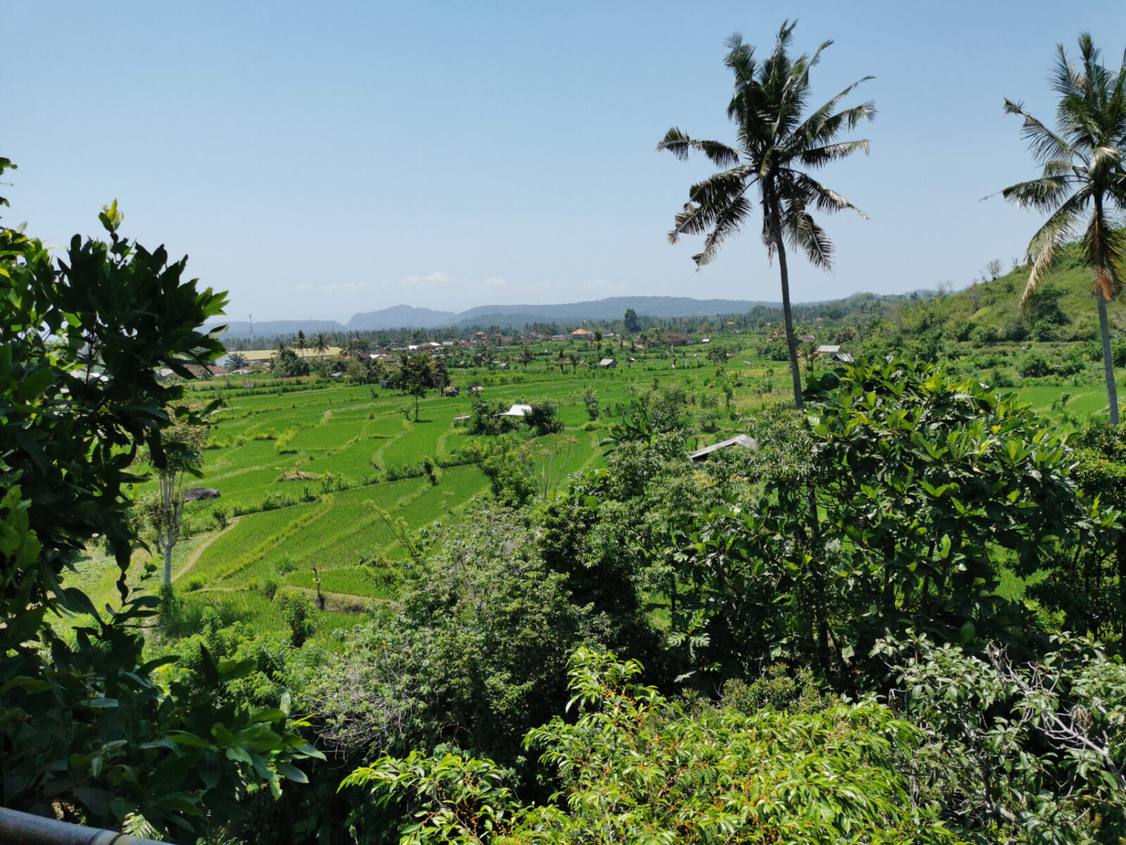 Weiterreise nach Sanur