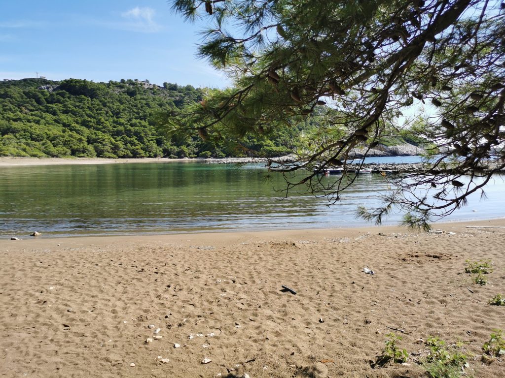 Mljet