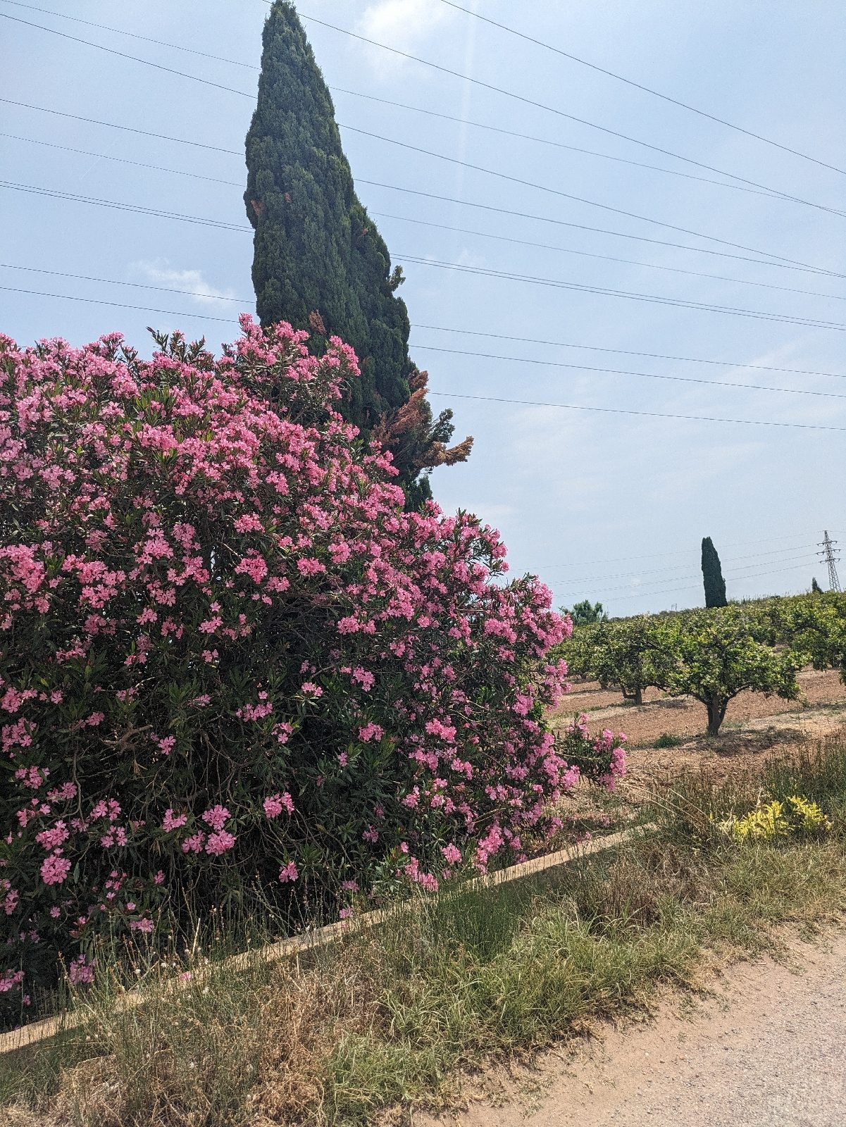 Dénia  – Valencia