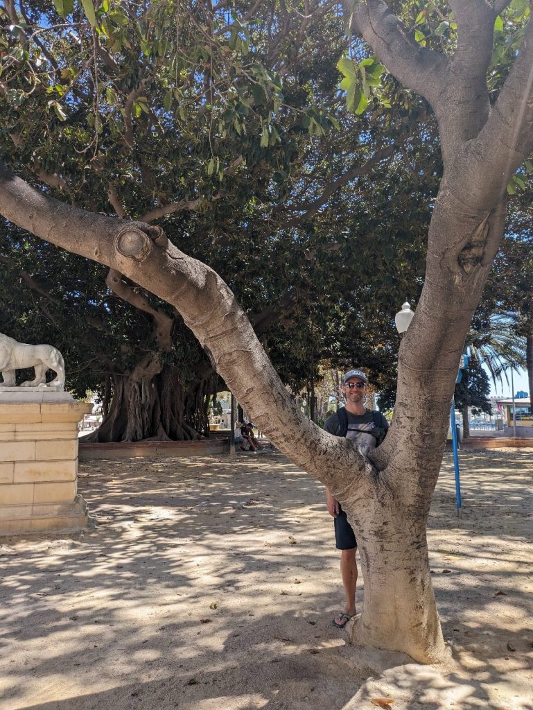 ein weiterer Tag in Alicante