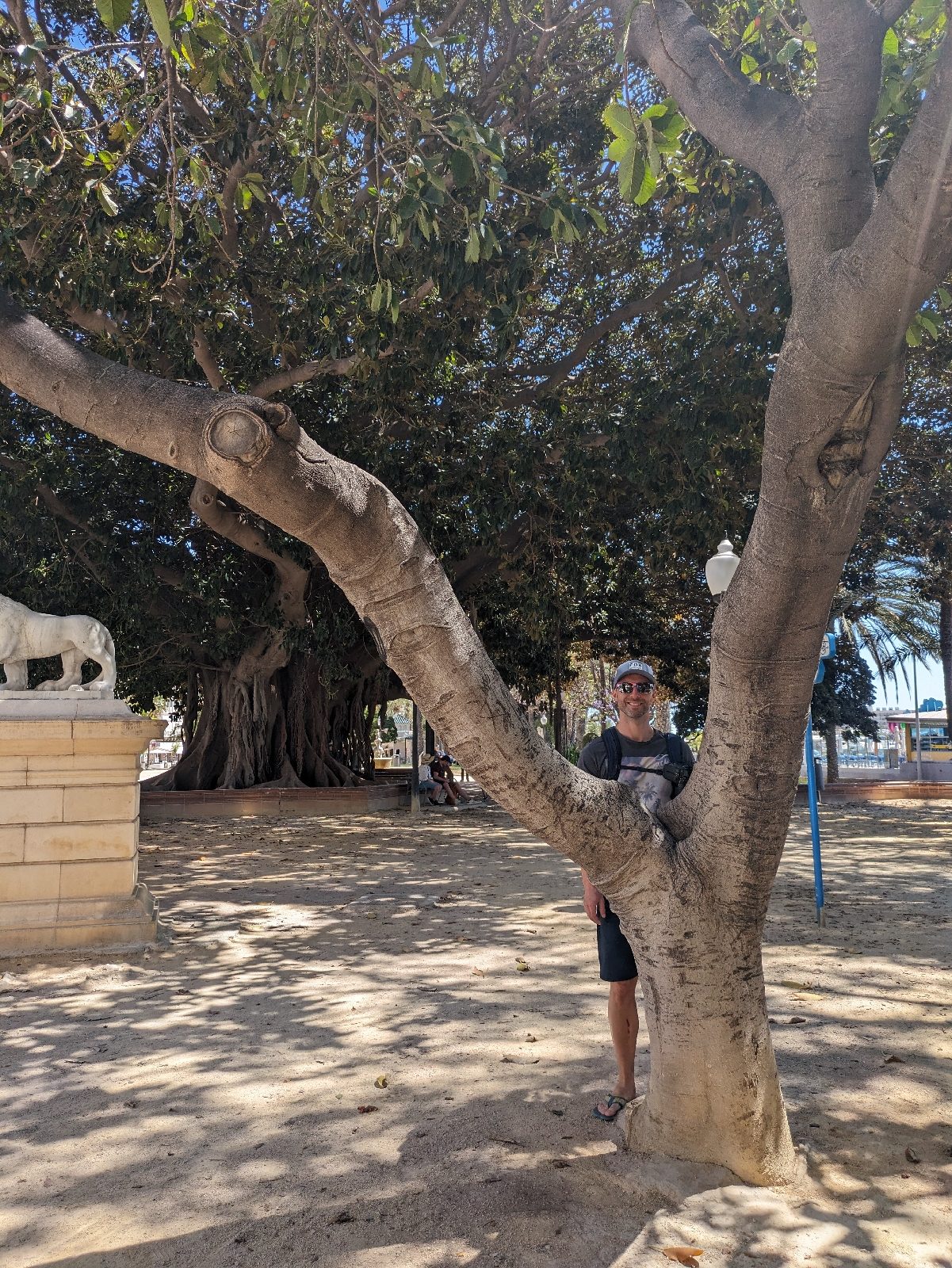 ein weiterer Tag in Alicante