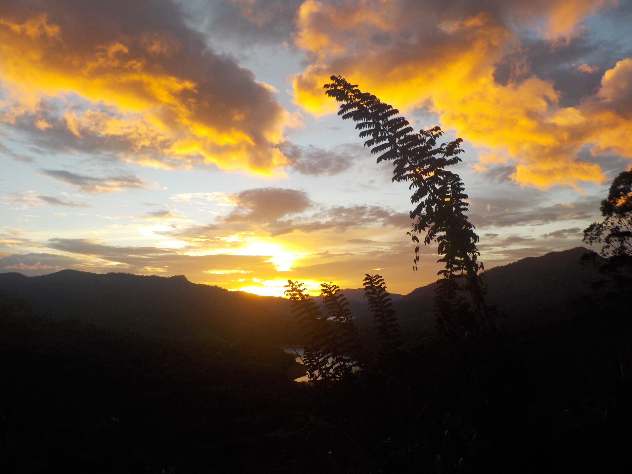 Ausflug nach Kandy und ins Hochland