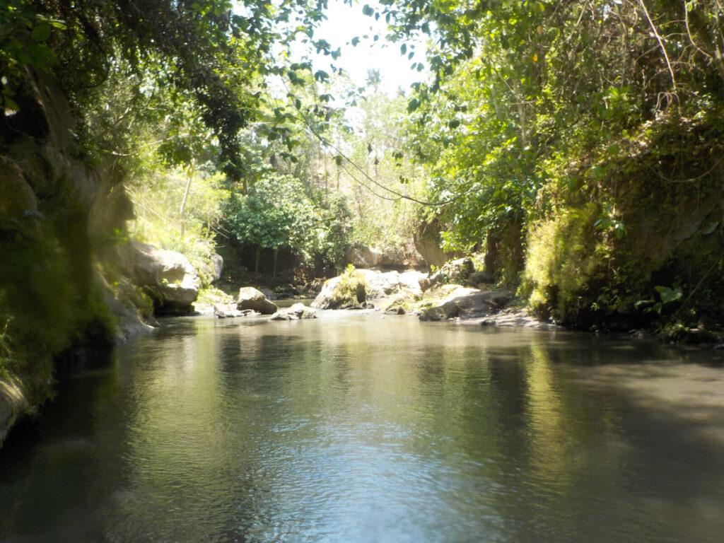 Ausflug rund um Ubud 2.0