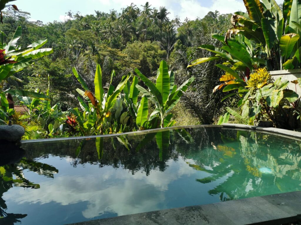Relax-Tag in Ubud