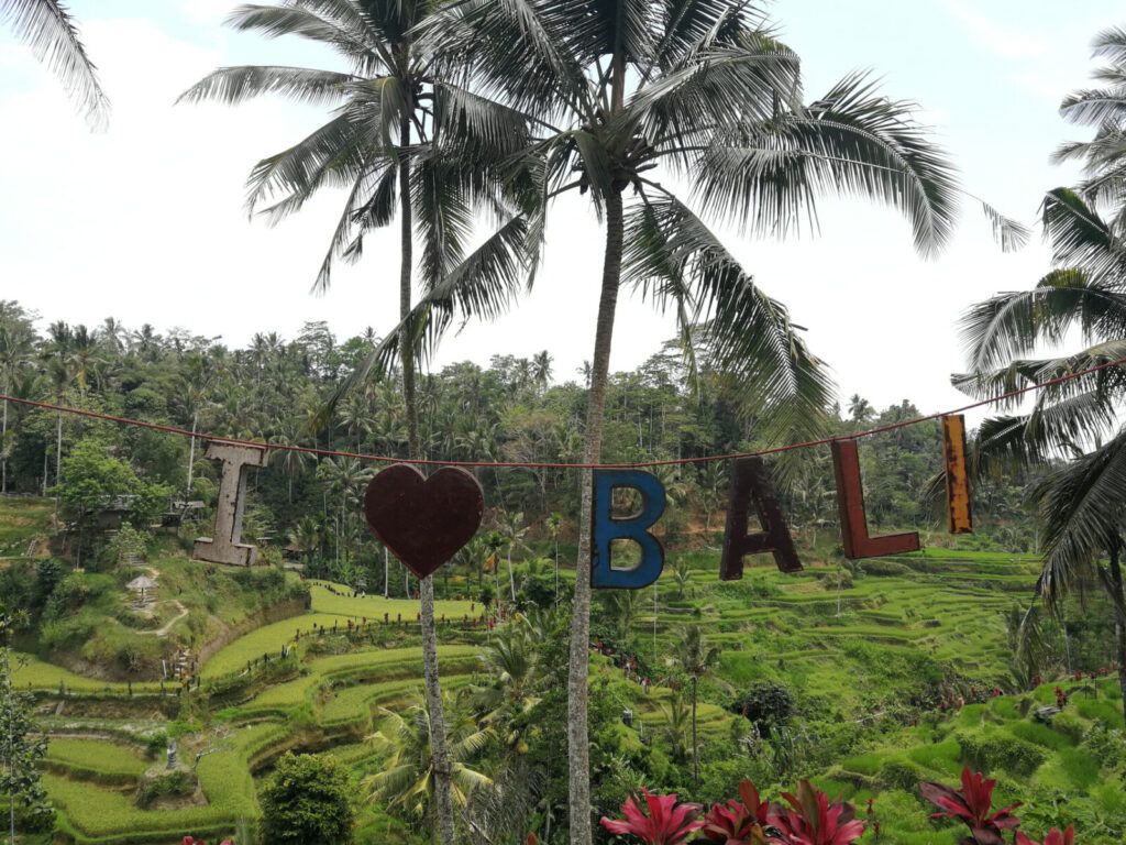 Ausflug rund um Ubud