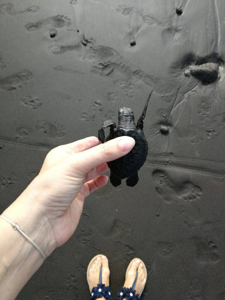 letzter Tag im Paradies