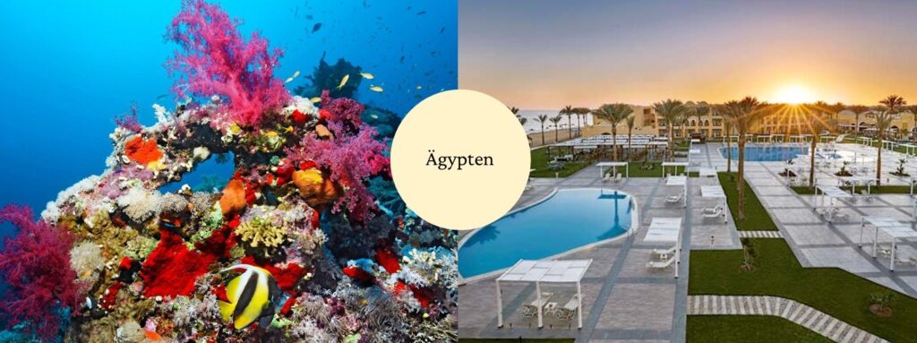 Ägypten – 2025